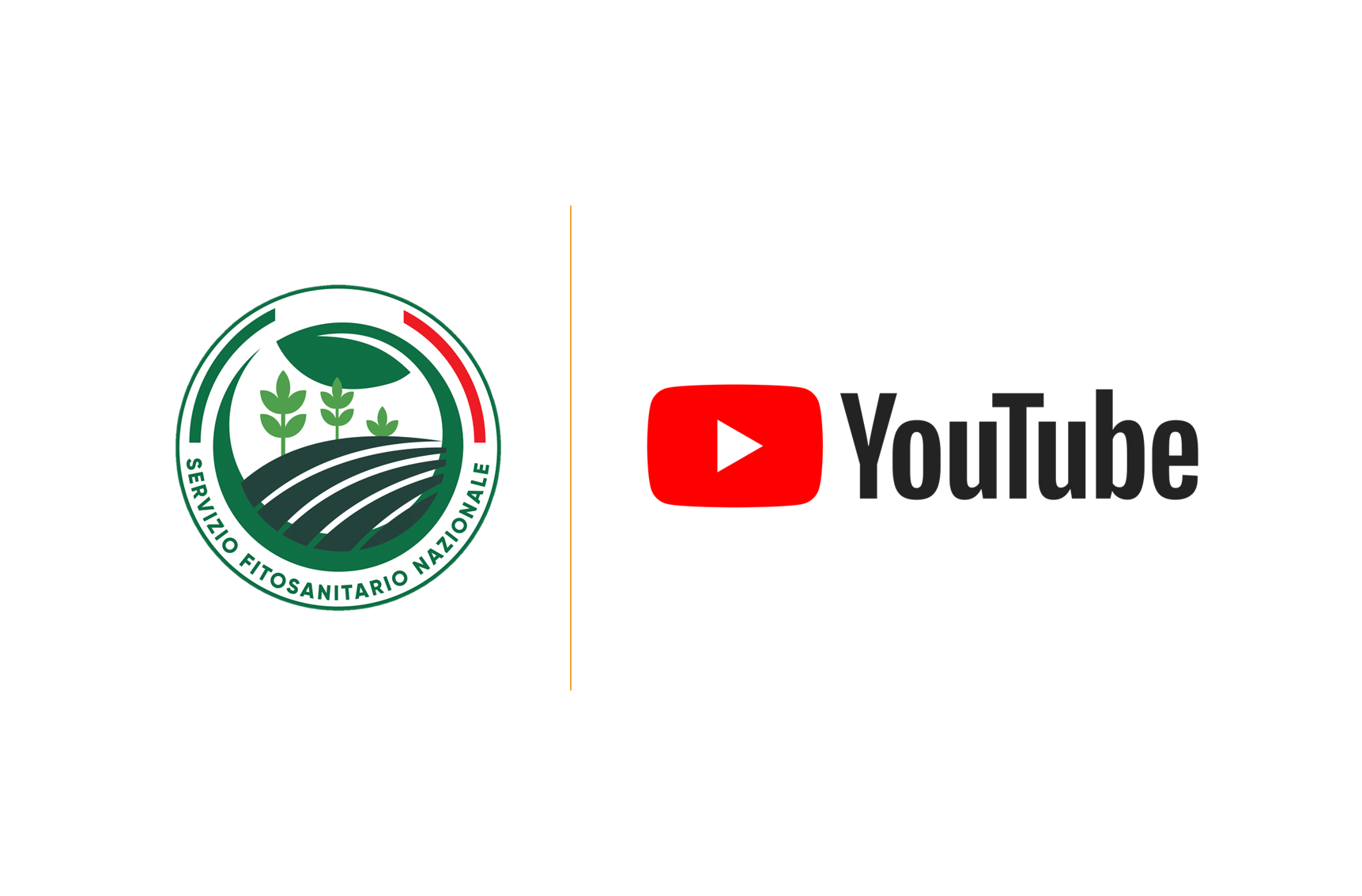 Youtube SFN